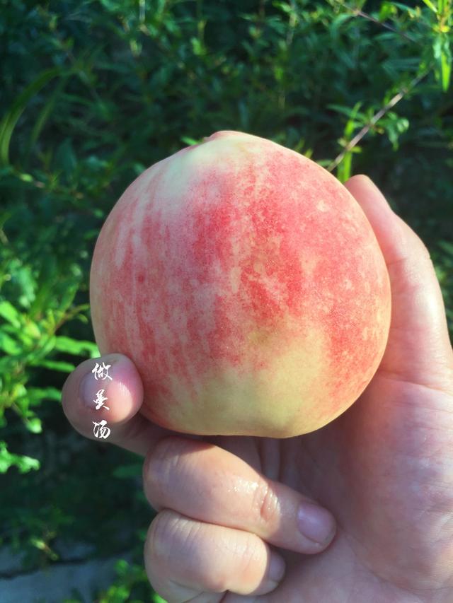 洗桃子去毛的方法,如何清洗桃子毛