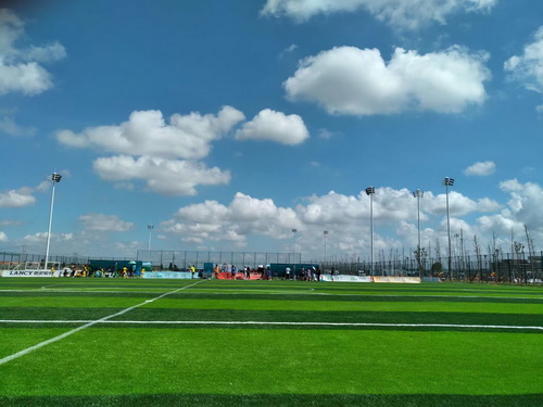 从中国足球看团队精神,从中国足球看国民体育