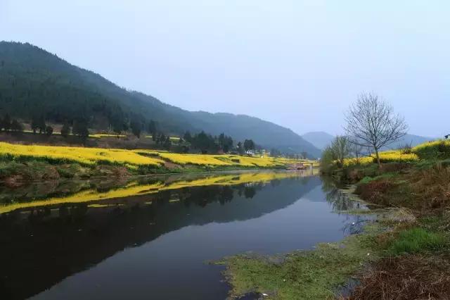阿里山的姑娘邓禹平,阿里山的姑娘邓禹平结婚了吗