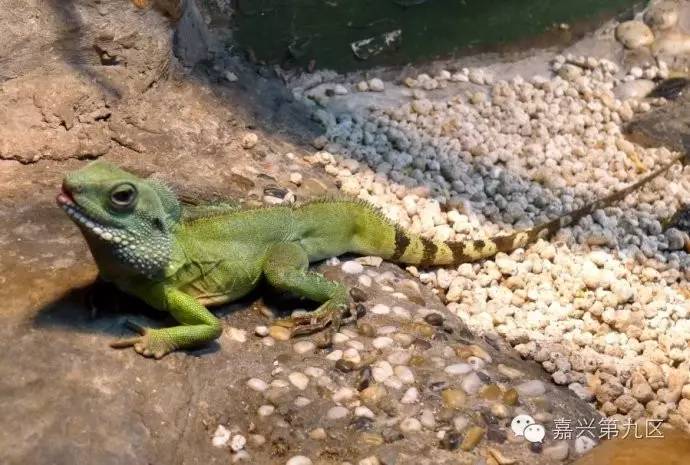 宁波出发高铁4-5小时能到哪里,宁波出发坐高铁三日游推荐