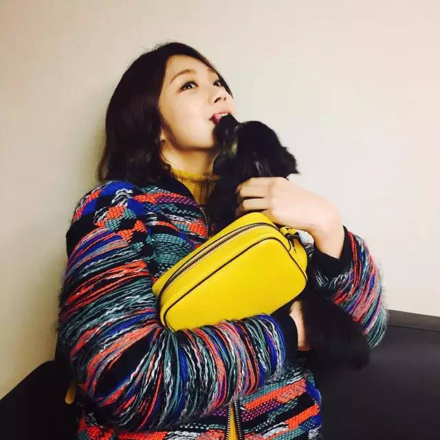 朴信惠、秀智、宋慧乔，韩剧女主背的包都扒出来啦！