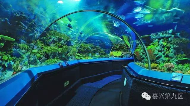 宁波出发高铁4-5小时能到哪里,宁波出发坐高铁三日游推荐