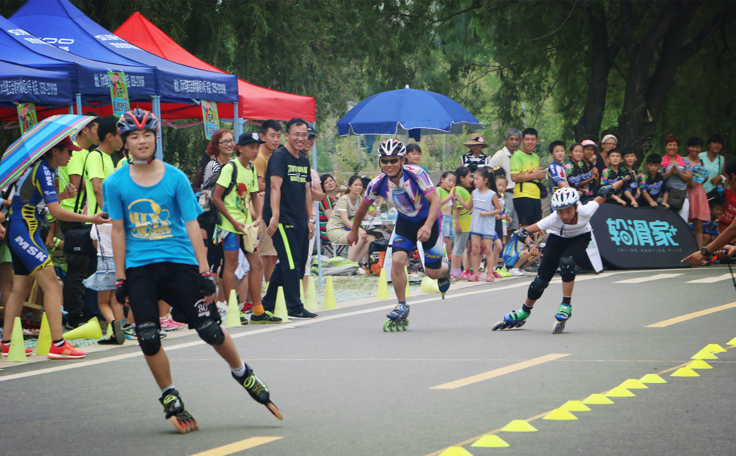 杞粦娌傛按,娌傛按骞垮満杞粦