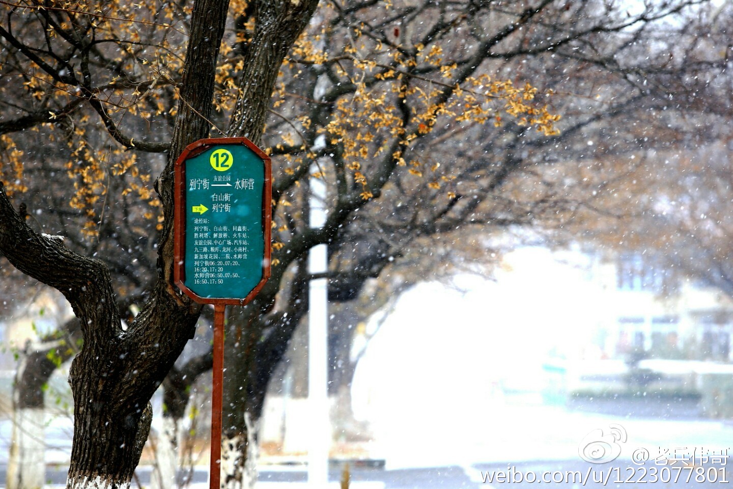 大连旅顺口好吗,旅顺值得住一晚吗