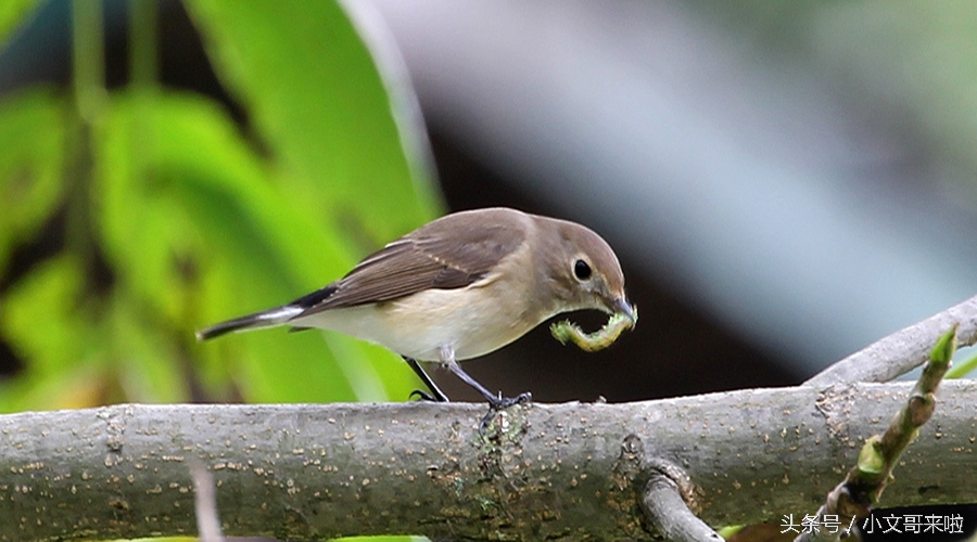 去广告公司上班需要学什么,应届毕业生进公司