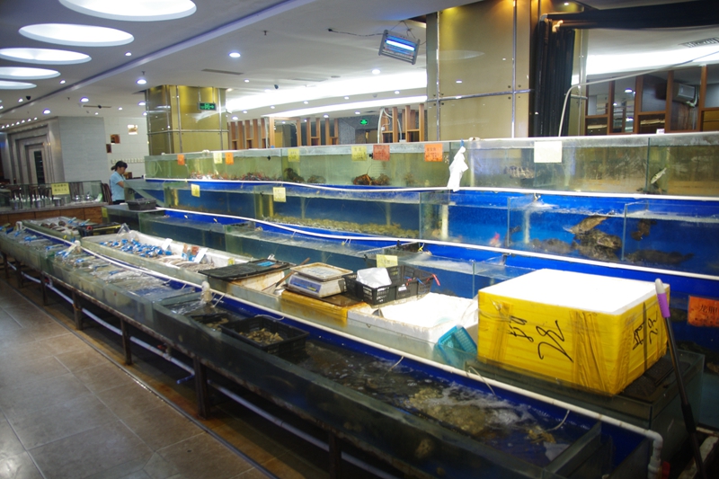 多变揽鲜又出新招：海鲜火锅霸王锅后这次出个五层塔！