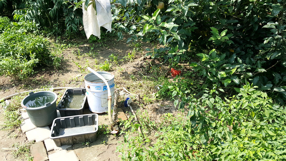 乐亭碧海渔家,乐亭碧海渔家怎么样