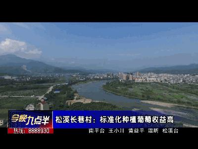 闽北葡萄又一村,教您如何挑选葡萄王