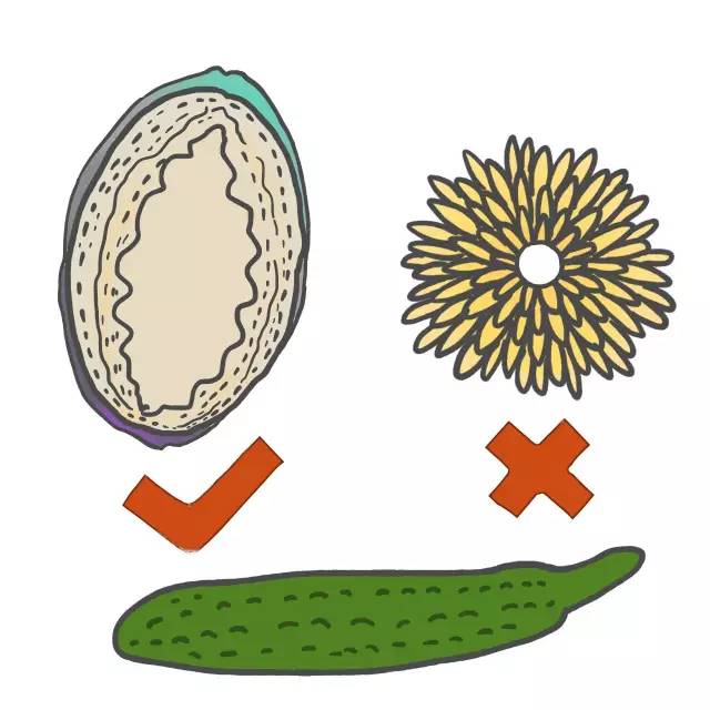 15岁男生生理方面的知识,男生青春期生理卫生知识