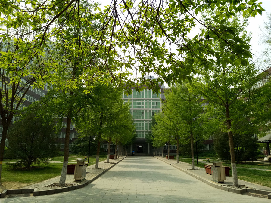 一代经典oppor9,oppor9系列哪款最好