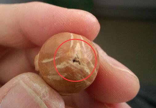 核雕常见瑕疵,核雕定制单籽出现瑕疵