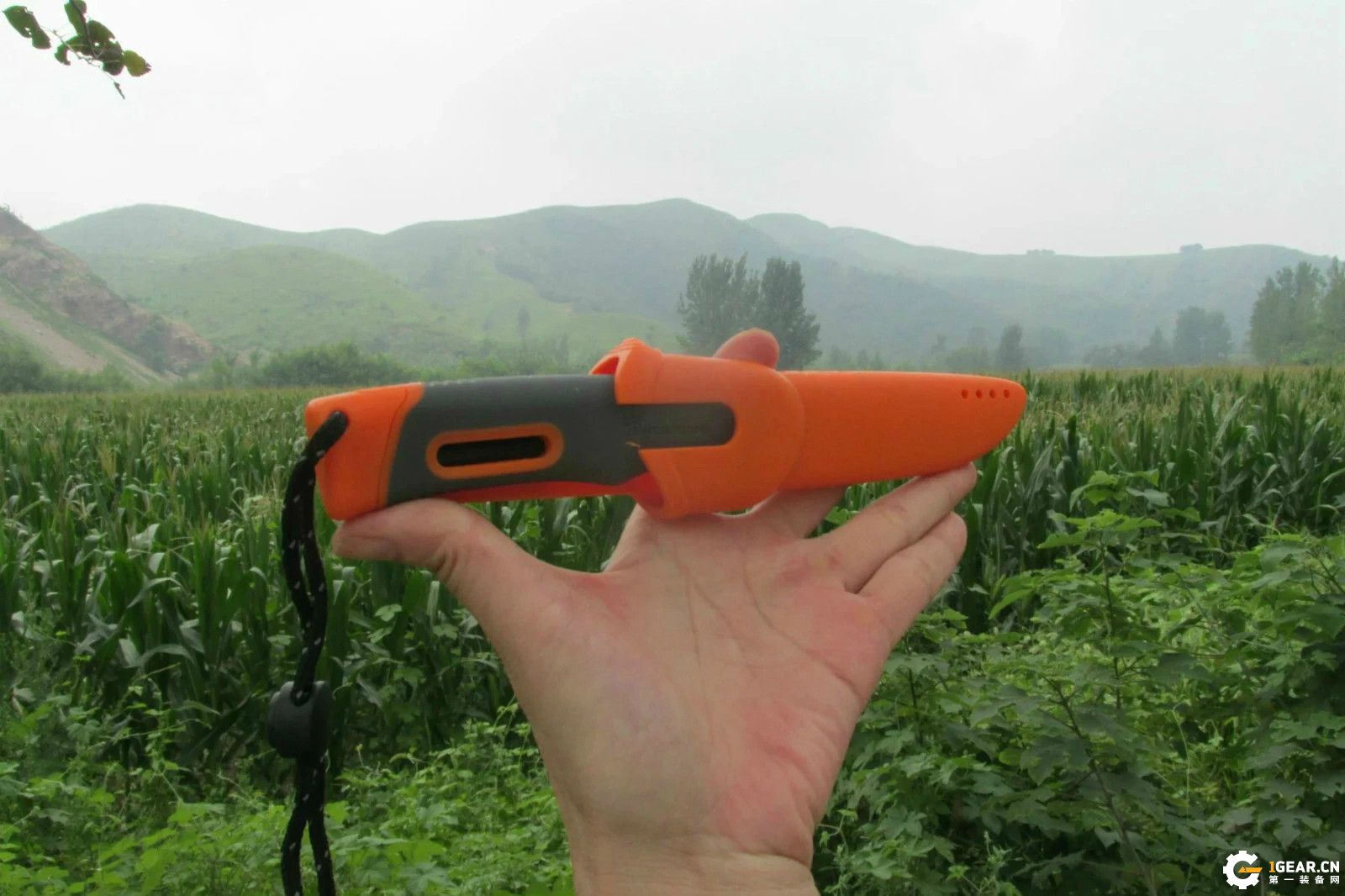 锋芒必露的效果,锋芒毕露战法