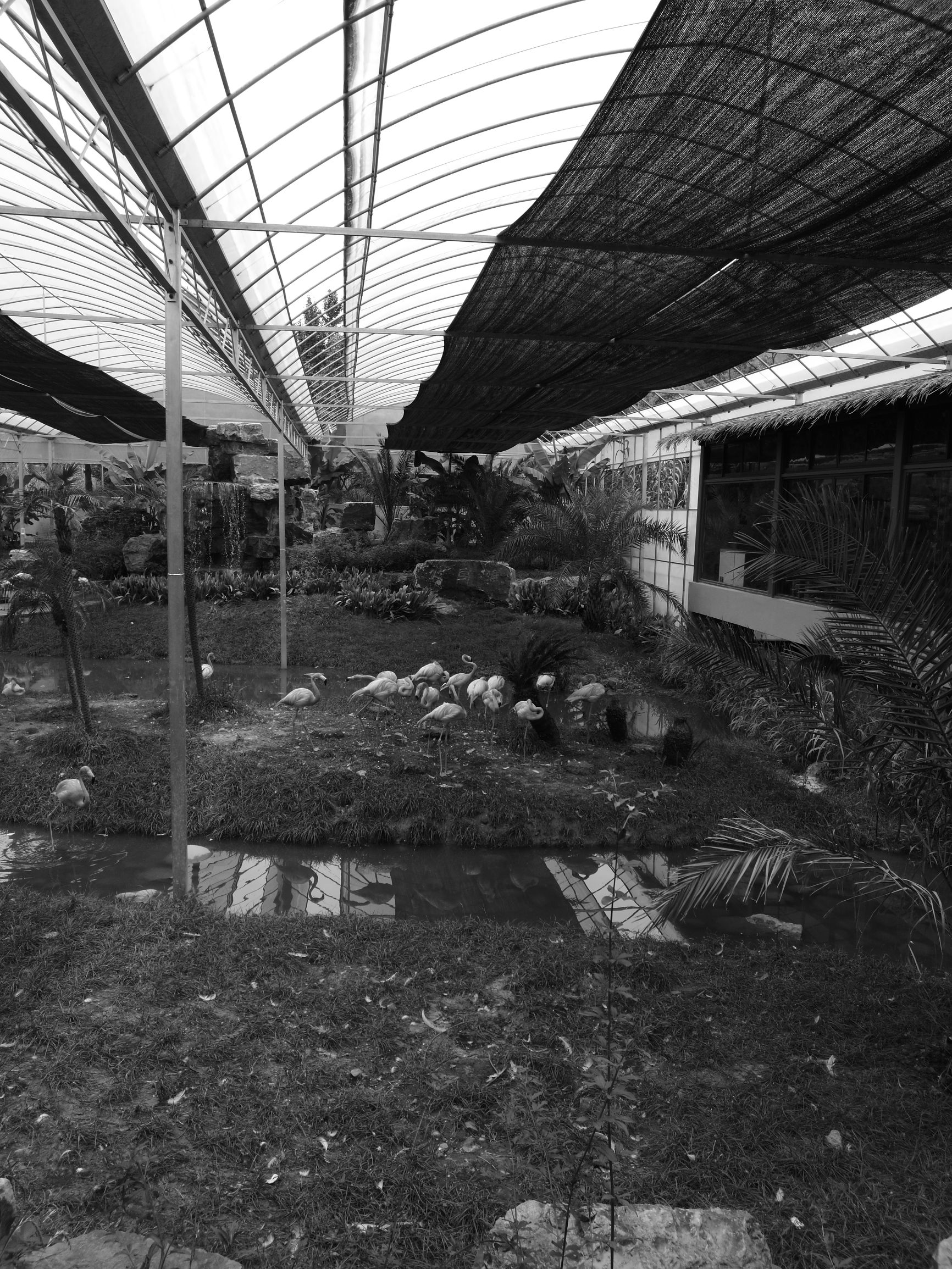 华为p9为什么是麒麟955,华为p9麒麟955芯片价格