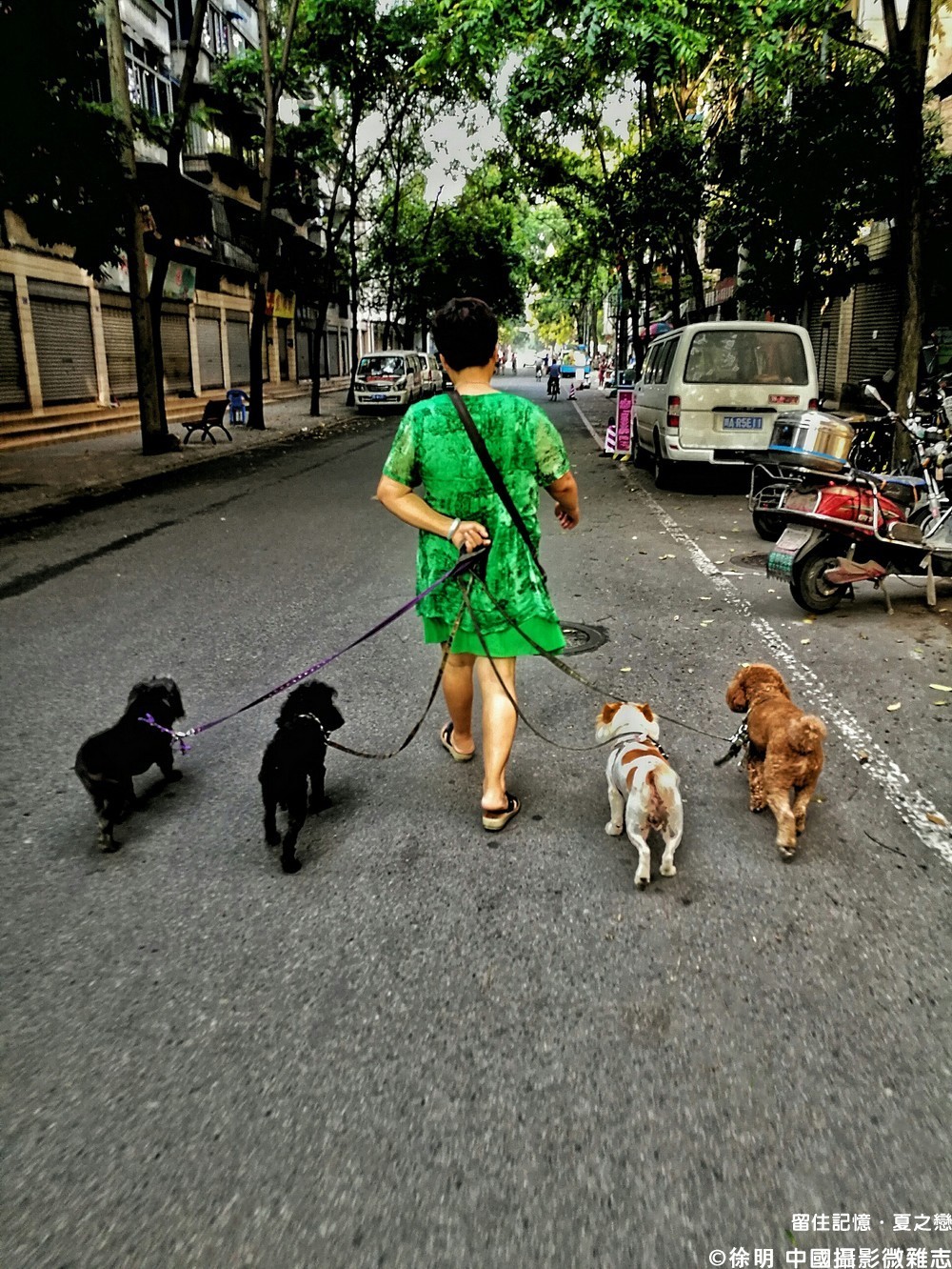 夏之恋完整版,夏之恋完整版免费阅读