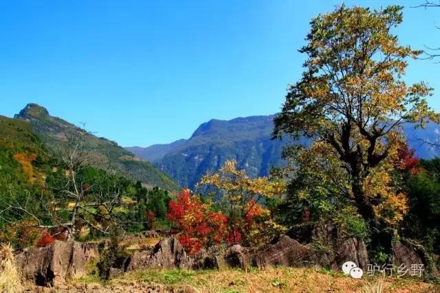 琛屾憚姹変腑,琛屾憚闄曡タ