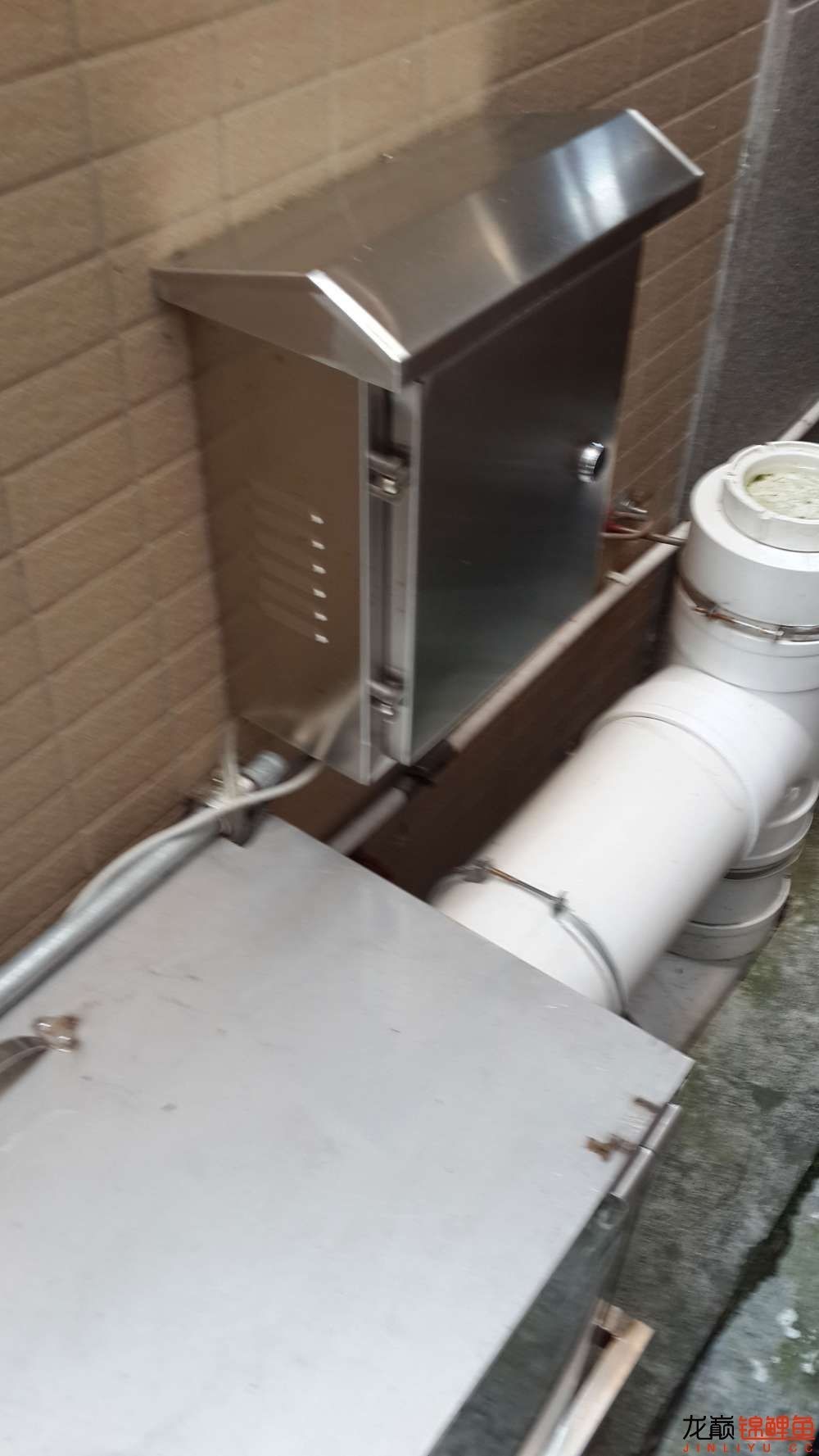 有效杀蚊,最好的杀蚊办法