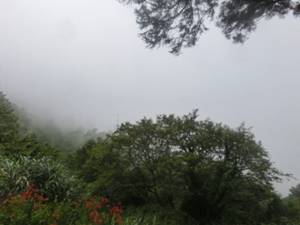 王蕊和乔杉相亲全集,王蕊半决赛