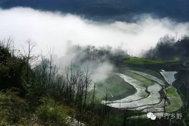 琛屾憚姹変腑,琛屾憚闄曡タ