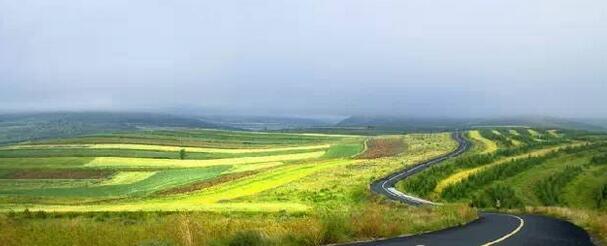 不是别具一格，但是独树一帜！外人眼中的张家口