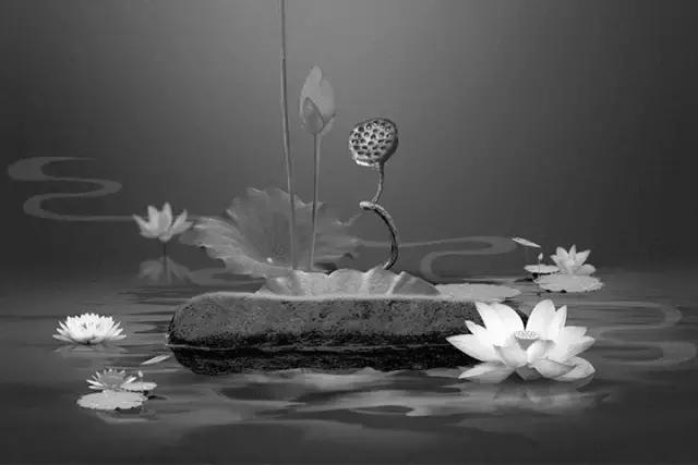 张宏杰讲曾国藩怎样走出低谷全集,曾国藩走出困境要学会破局