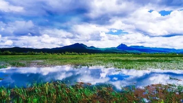 就算吃土也要投资自己,就算吃土也要买车