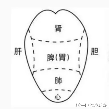 舌头怎么判断哪上火,看舌头怎么判断上火
