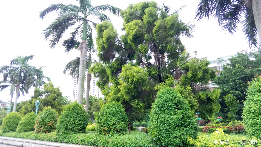 閰锋瘮max5鍙傛暟,閰锋瘮max5鎬ц兘