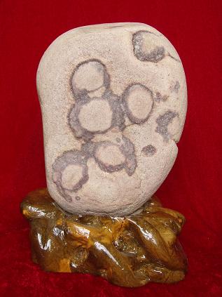 小石头也玩奥运？你别说还真的挺像那么回事