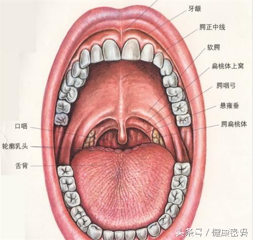咽喉有囊肿会感觉有异物感吗,甲状腺囊肿喉咙异物感