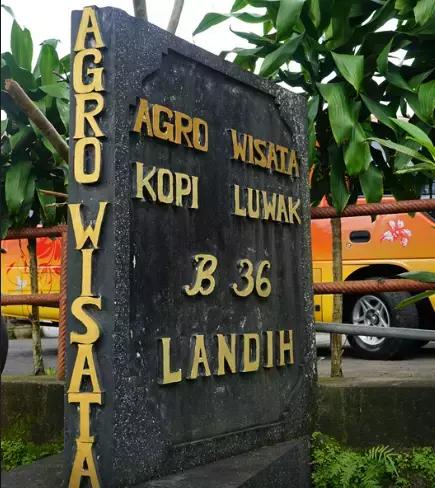 268元可以在巴厘岛landih买多少真正的猫屎咖啡豆？