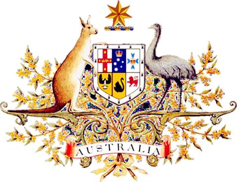 是什么让40000华人把澳洲药房搬空?甚至连仓库也不放过!