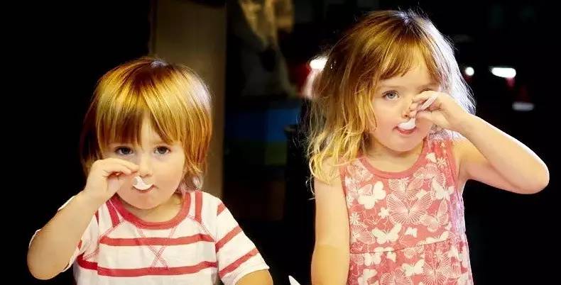 老中医蜂蜜系列,老中医生姜蜂蜜