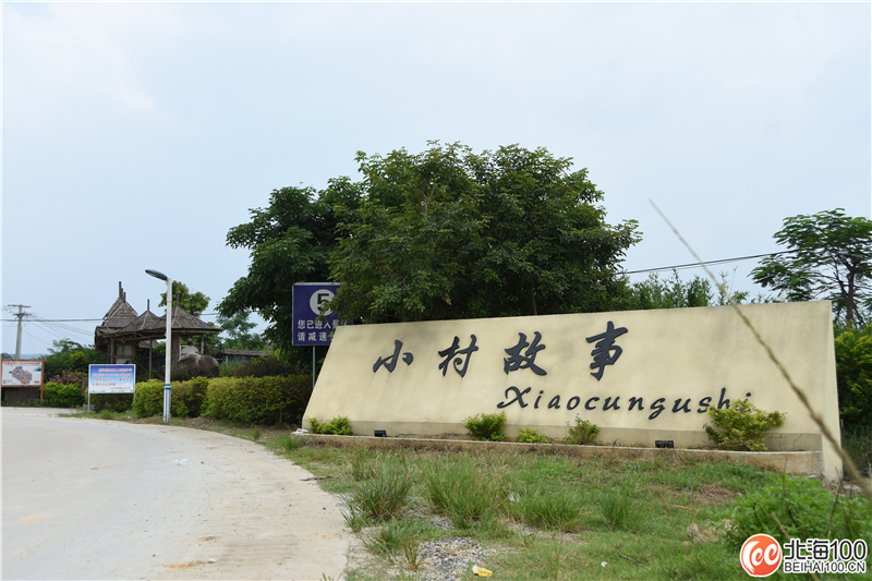 周末去哪儿玩？小编带你去合浦七里香茶庄园和石康镇“小村故事”