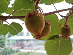 360n4s手机详细测评,360n4s骁龙版评测