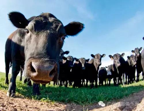 鱼眼镜头拍摄技巧,摄影镜头各种焦距