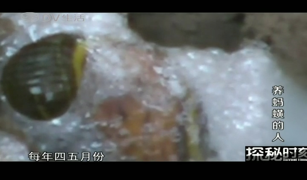 不需流量看高清电视，爱华ITV933移动电视娱乐宝体验