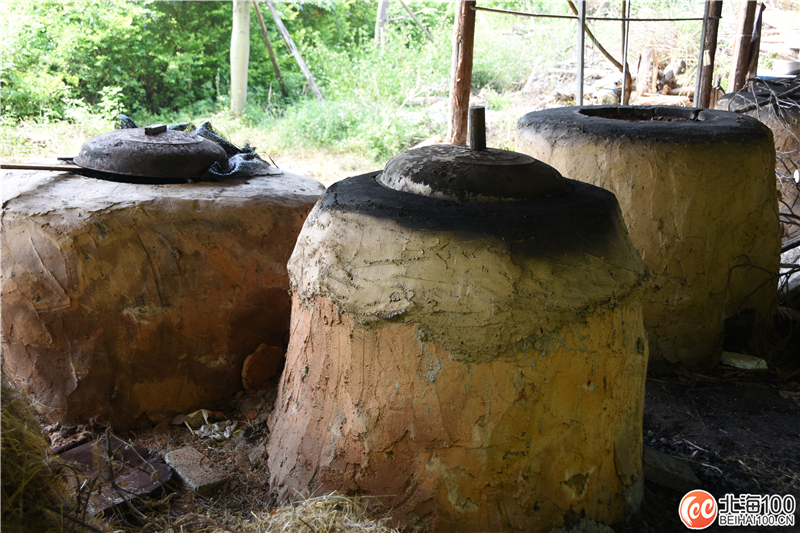 周末去哪儿玩？小编带你去合浦七里香茶庄园和石康镇“小村故事”