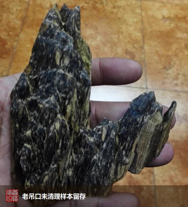 沉香初学者,沉香入门料