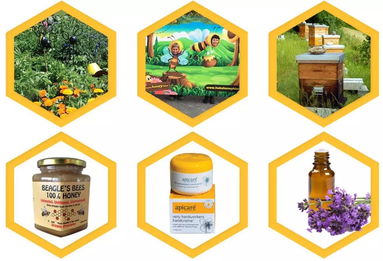 老中医蜂蜜系列,老中医生姜蜂蜜