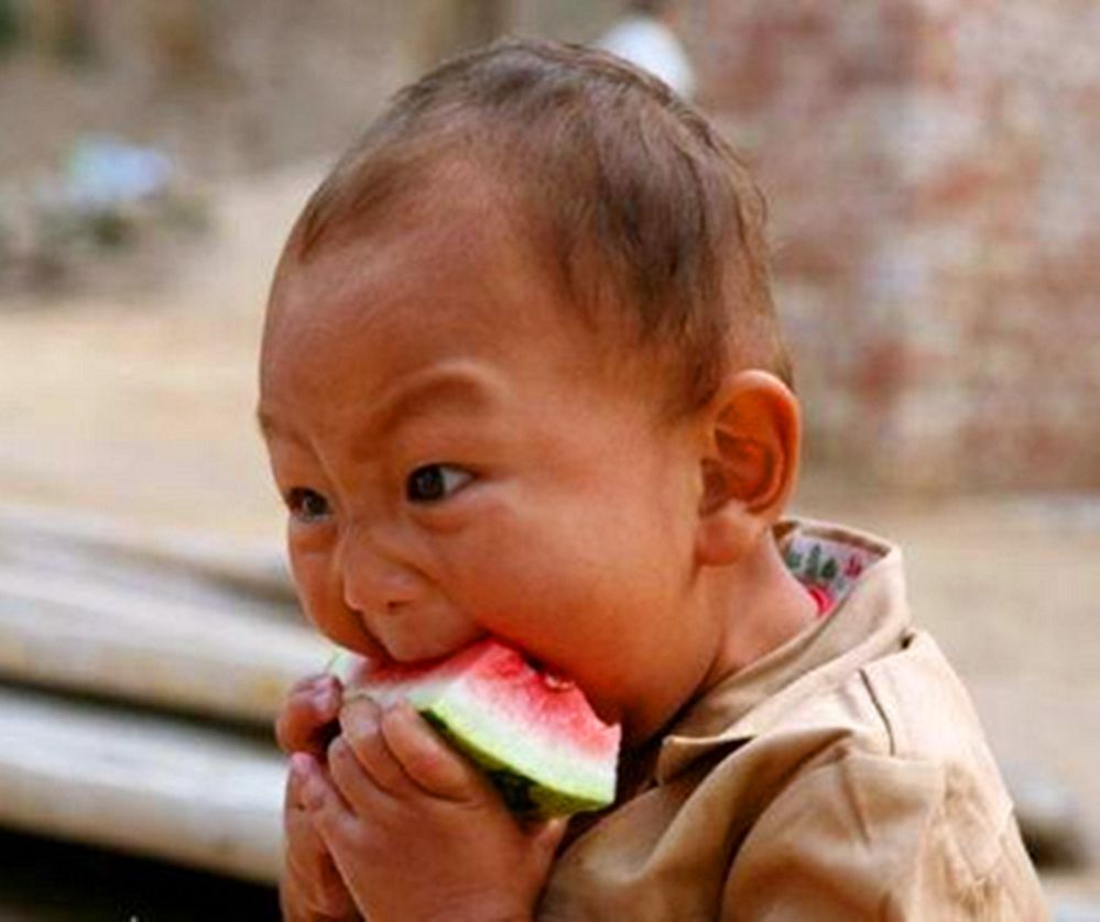 动物配文字搞笑图片,动物搞笑片段大全爆笑