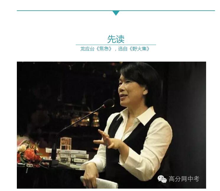 龙应台的作文,龙应台作文