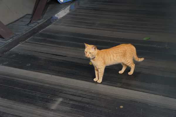 在台湾流浪14天~火星人的环岛路线！