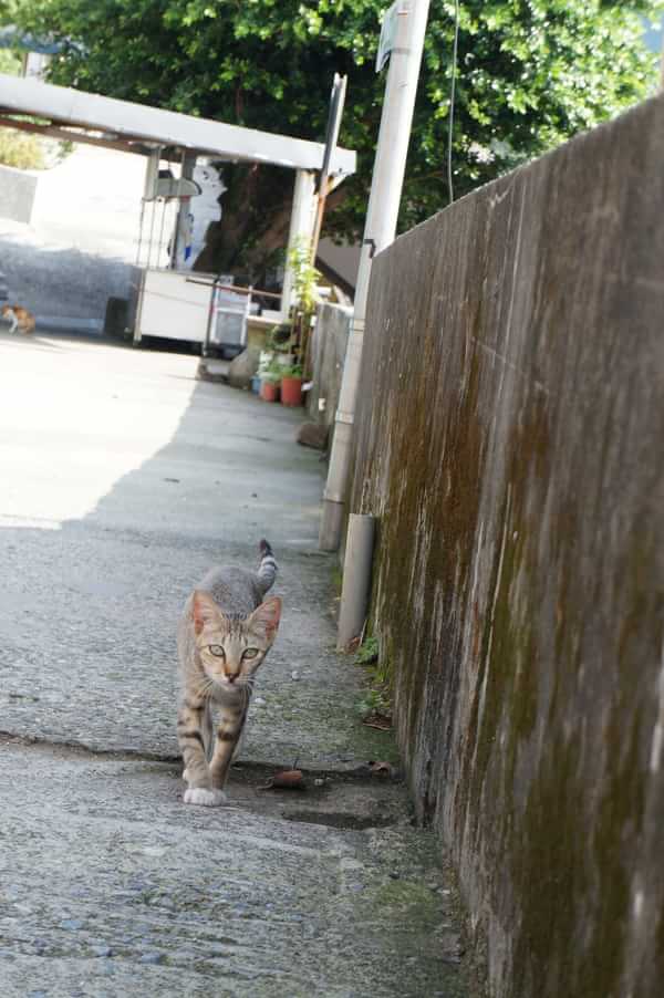 在台湾流浪14天~火星人的环岛路线！