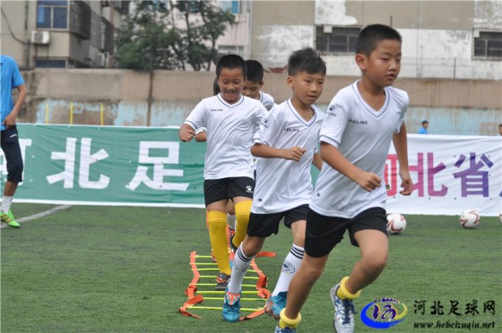 2016年河北省男子足球07/08年龄段足球夏令营现场图集