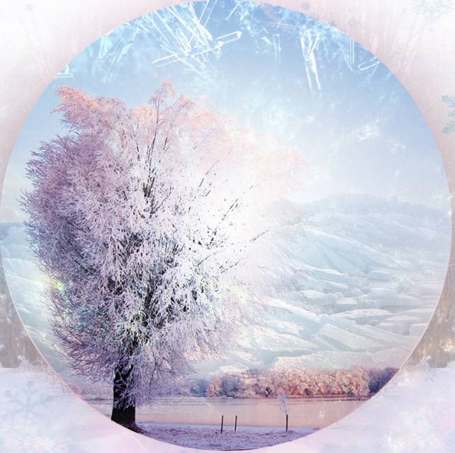 里约奥运会巅峰对决,2016年里约奥运会牵手