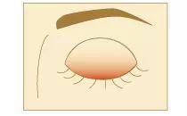 简单的日常妆容打个粉底和遮瑕膏,新手化妆入门教程眼妆睫毛