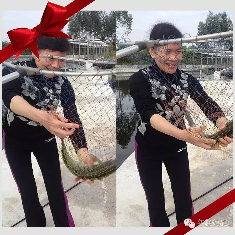 我花了一点点钱，却让他们高兴了大半年