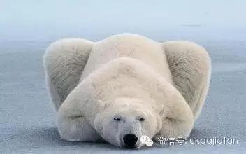 腐国奇葩boy,多花13小时绕路回家,只为省7镑!