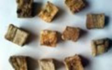 中药知识必学百合,中药知识必学僵蚕