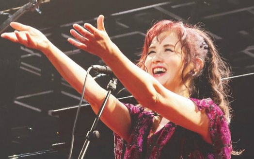 王菲人间理想,王菲人间别样景致